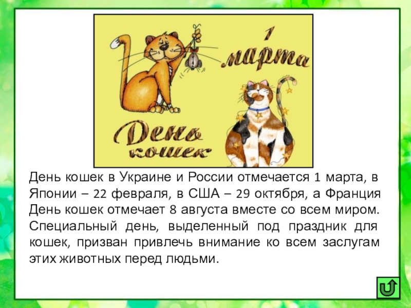 День кошек в Украине и России отмечается 1 марта, в Японии – 22 февраля, в США –