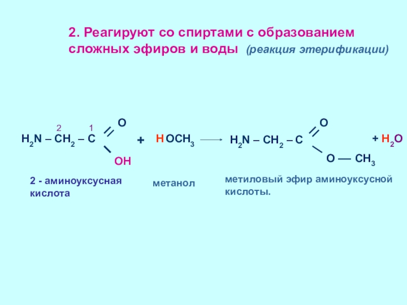 Взаимодействие этановой кислоты с метанолом. Взаимодействие аминокислот с образованием сложных эфиров. Этерификация образование сложных эфиров. Реакция образования сложных эфиров аминокислот.