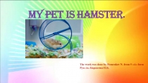 The project about my pet by Fomenkov N. 5A form