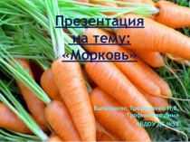 Презентация по природе на тему Морковь средняя группа