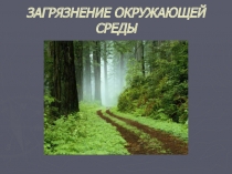 Презентация Загрязнение окружающей среды