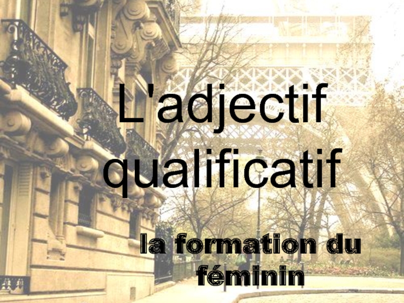 Презентация L'adjectif qualificatif. La formation du féminin.