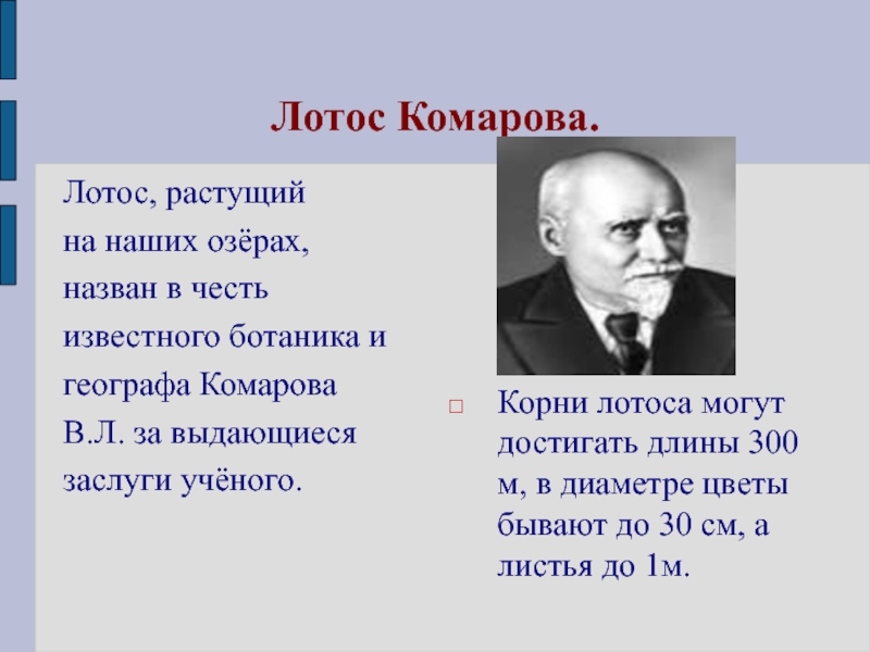 В честь какого ученого названо озеро. Названия растений в честь известных людей. Растения названные в честь известных людей. Цветы названные в честь известных людей. Растения названные в честь ученых.