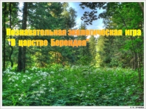 Презентация для внеклассного мероприятия по экологии. Познавательная экологическая игра В царстве Берендея для детей и их родителей.