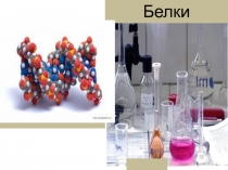 Презентация по химии Белки