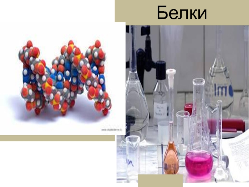 Белки в химии презентация