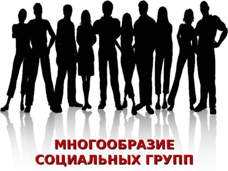 Презентация многообразие социальных групп