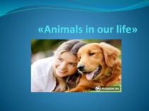 Презентация по английскому языку на тему Животные