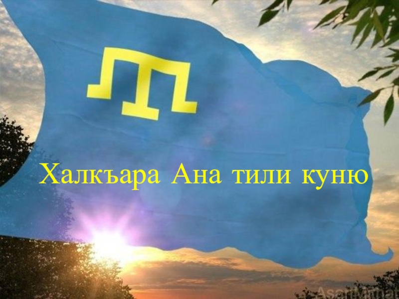 Ана тили. Флаг крымских татар. Крымско татарский флаг. Флаг крымских Татаров. Крымскотатарский флаг с девушкой.