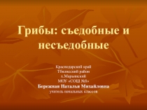 Авторская презентация к уроку кубановедения Грибы съедеобные и несъедобные. Правила сбора