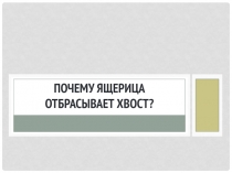 Почему ящерица отбрасывает хвост