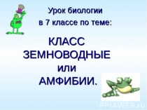 Презентация по биологии на тему класс Земноводные или Амфибии 7 класс