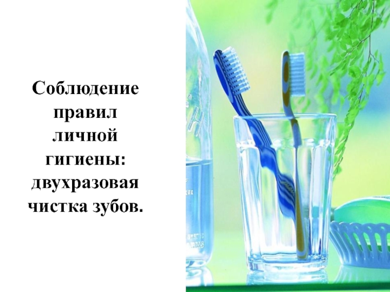 Соблюдение правил личной гигиены: двухразовая чистка зубов.