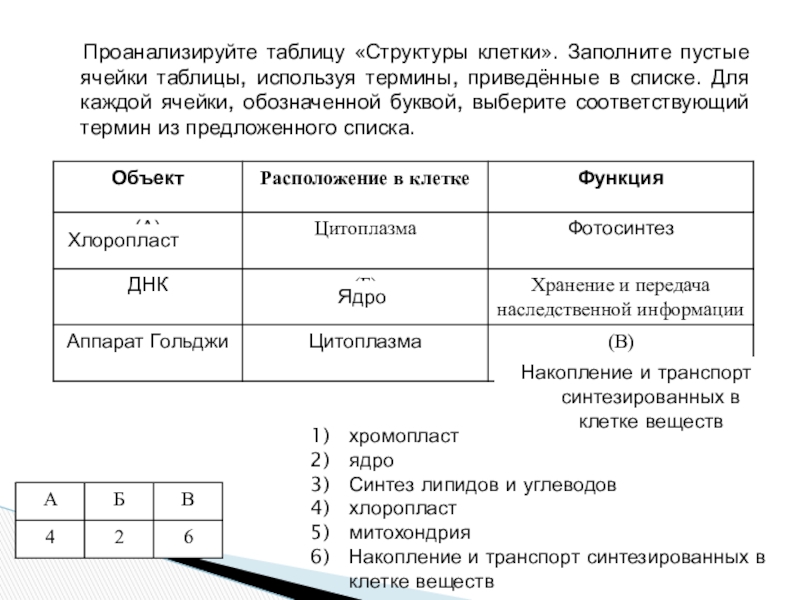 Проанализируйте таблицу виды изменчивости заполните пустые ячейки