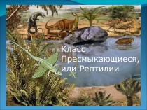 Презентация к уроку Класс Пресмыкающиеся, или Рептилии. Особенности внешнего строения и скелета пресмыкающихся.