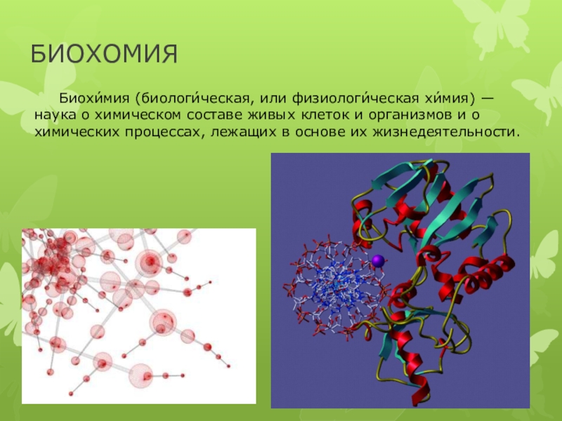 Биохимическая химия. Биохимия это в биологии. Химические процессы в биологии. Биологические, биохимические процессы. Химический состав живых организмов.