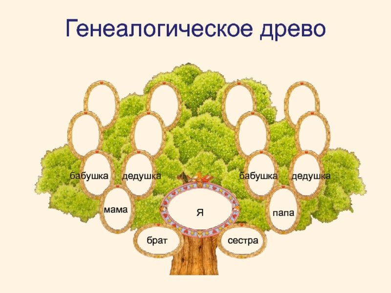 Состав семьи родственные отношения сбо 6 класс презентация