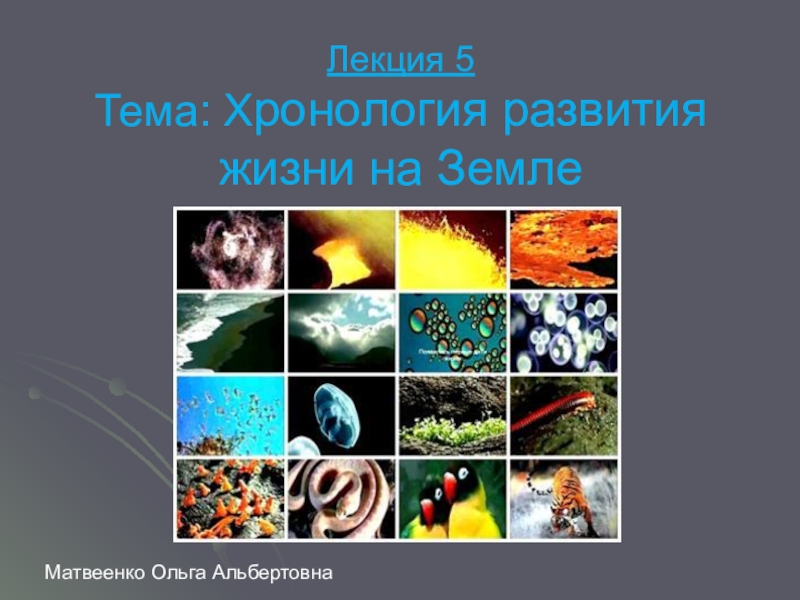 Презентация Презентация по биологии на тему Хронология развития жизни на Земле (11 класс)