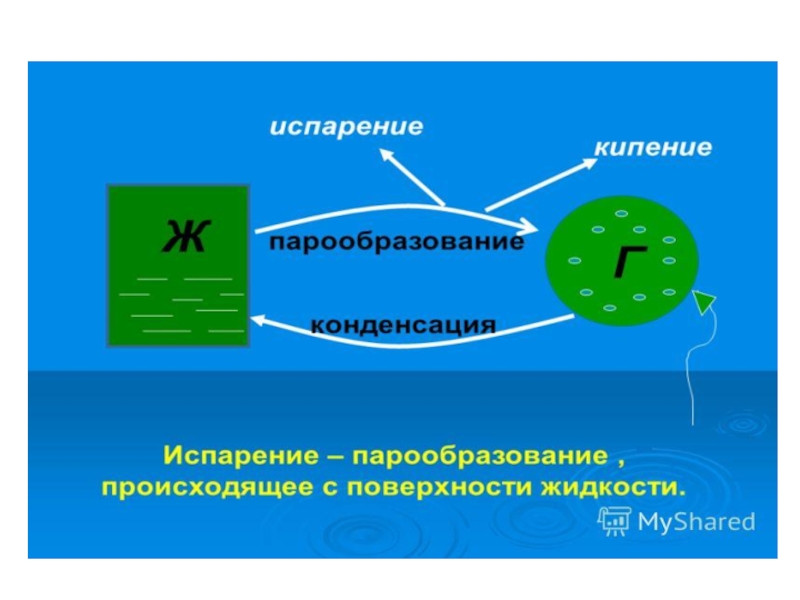 Испарение физика 8 класс. Испаорение икондесация. Испарение и конденсация. Процессы испарения и конденсации. Примеры конденсации в природе.