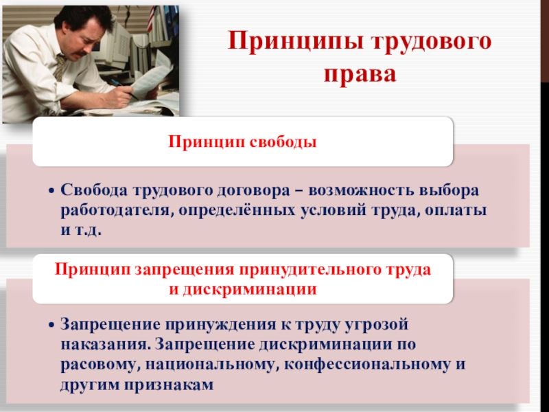 Принцип трудовых взаимоотношений. Трудовое право. Принципы трудового права. Трудовое законодательство. Основы трудового законодательства.