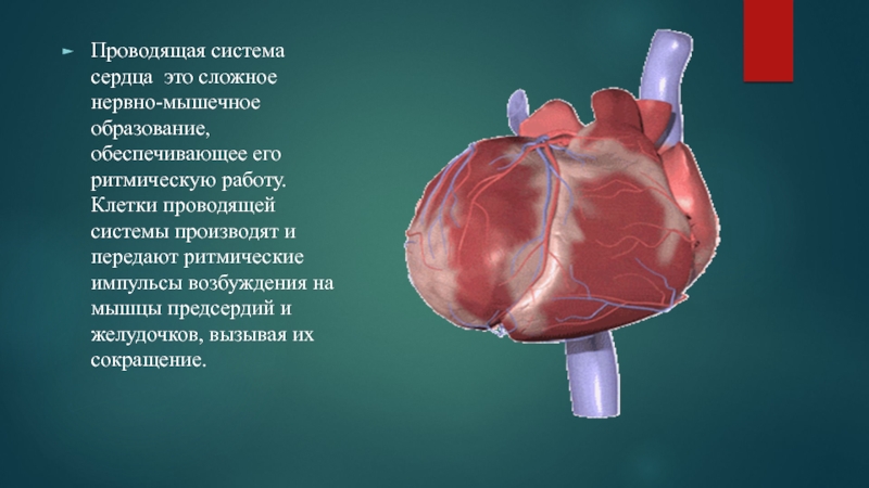 Память сердца презентация