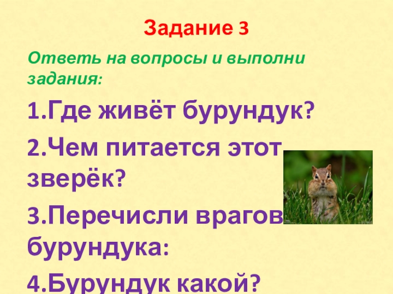 Задание 3Ответь на вопросы и выполни задания:1.Где живёт бурундук?2.Чем питается этот зверёк?3.Перечисли врагов бурундука:4.Бурундук какой?