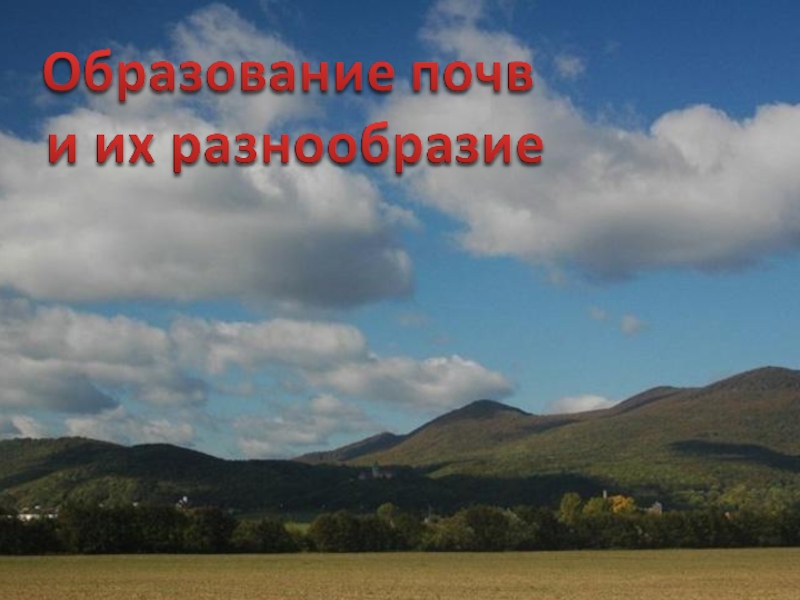 Презентация Презентация по географии на тему Почвы России