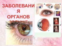 Презентация по биологии на тему Заболевания органов зрения (8 класс)