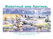 Презентация по развитию речи на тему Животный мир арктики