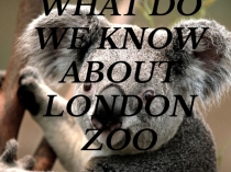 Презентация по английскому языку на тему What do we know about London Zoo?