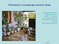 Презентация по технологии на тему Растение в интерьере жилого дома (6 класс)