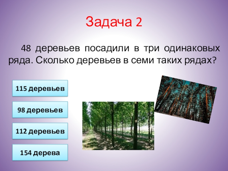 В 3 одинаковых ряда. Дерево задач. Задачи про деревья в саду. Задачки про деревья. Периодические задачи про деревья.