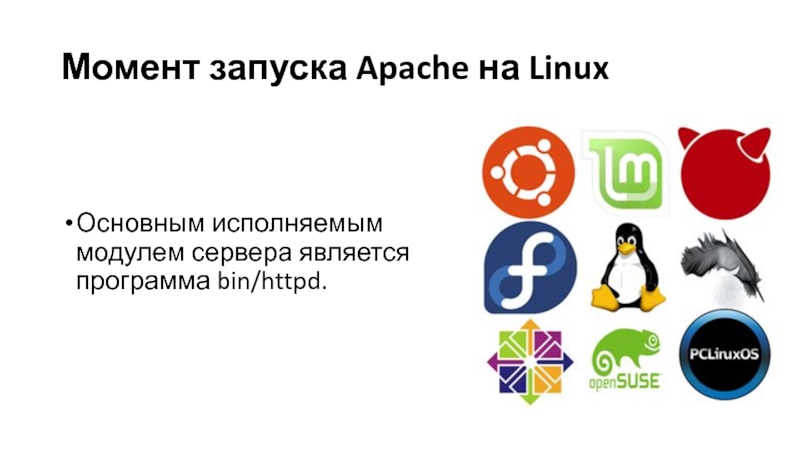 Момент запуска Apache на LinuxОсновным исполняемым модулем сервера является программа bin/httpd.