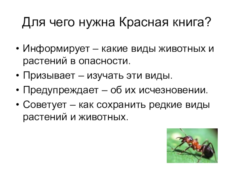 Нужна красная. Для чего нужнс крпсная Крига. Для чего нужна красная книга. Зачем нужна красная книга. Зачем создали красную книгу.