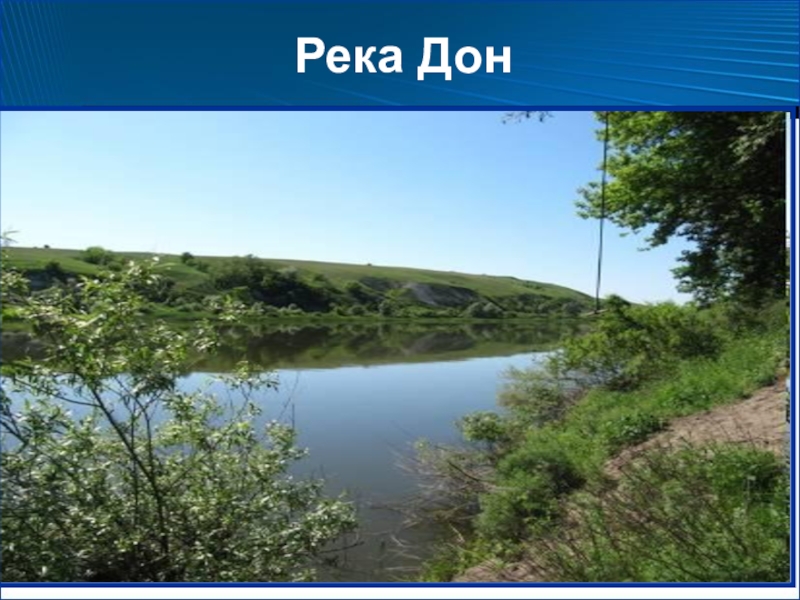 Река дон 4 класс. Реки Воронежского края. Проект река Дон. Река Дон в Воронеже доклад. Река Дон окружающий мир 4 класс.