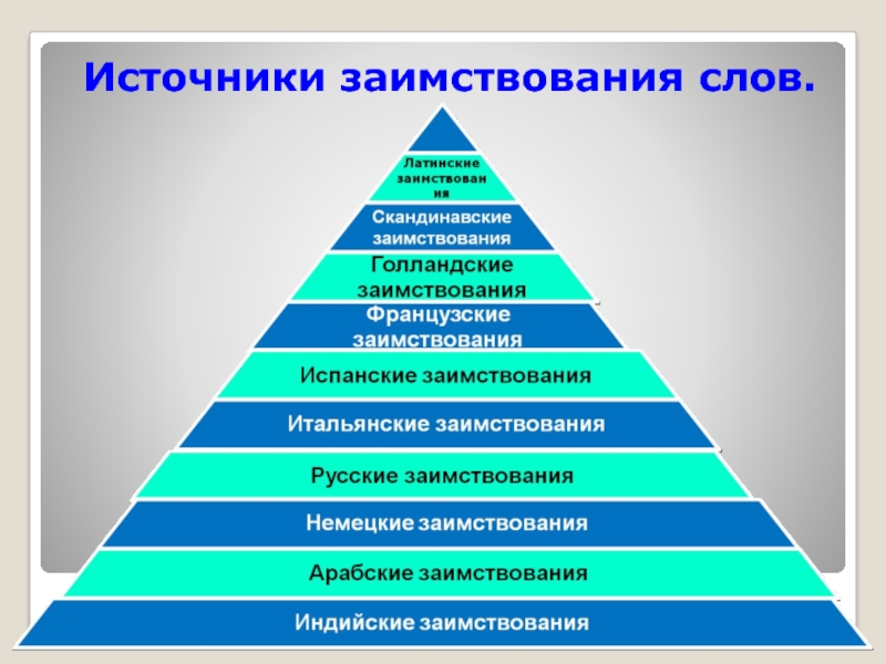 Реферат: Латинские заимствования в английском языке