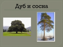 Удивительное рядом