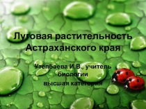 Презентация по краеведению Астраханской области на тему Луговая растительность 6 класс