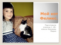 Исследовательская работа на тему Мой кот Феликс