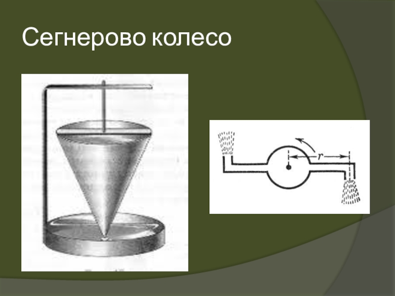 Сегнерово колесо презентация