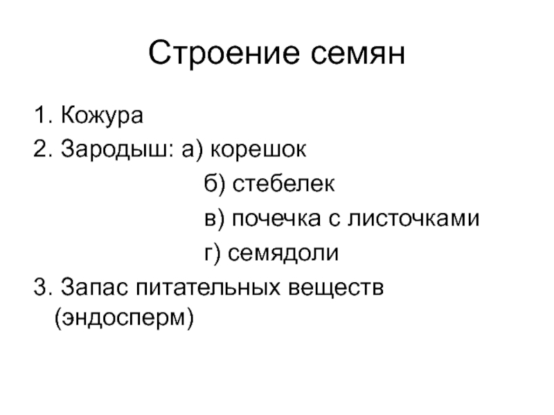 Семя 6 класс биология презентация