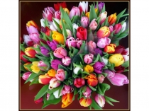 Презентация по математике на тему Работа над задачей(1 класс)