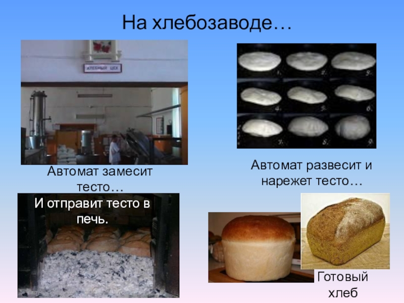 Этапы приготовления хлеба. Хлебозавод. Методы производства хлеба. Стадии производства хлеба. Проект хлебозавода.