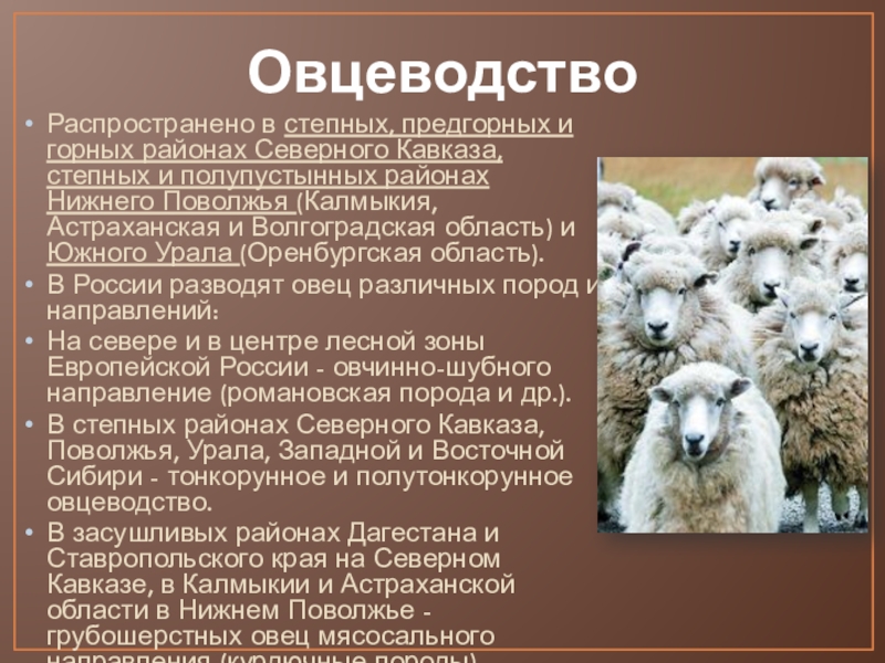 Овцеводство карта россии