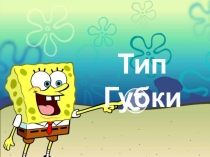 Презентация по биологии Тип Губки