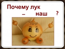 Презентация по биологии на тему Лук - наш друг (5-6 класс)