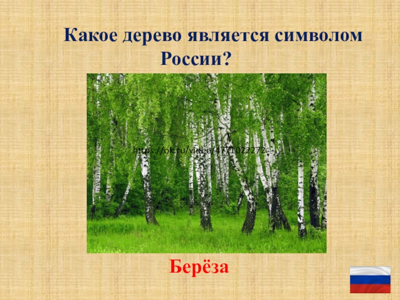 Картинки береза символ россии для детей