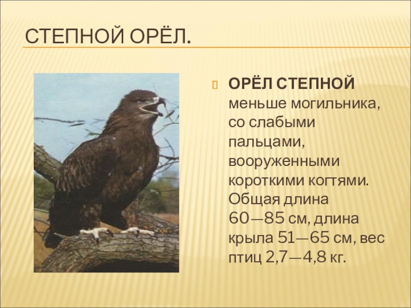Животные занесенные в красную книгу саратовской области фото