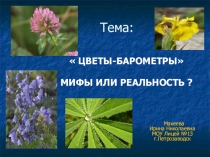Презентация по Тема Цветы барометры