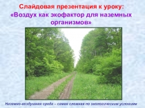 Слайдовая презентация Воздух как экофактор для наземных организмов (10класс)